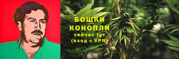 PSILOCYBIN Бугульма