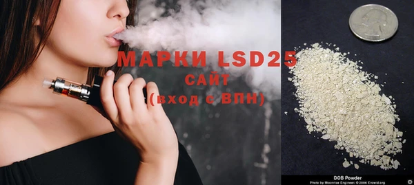 PSILOCYBIN Бугульма